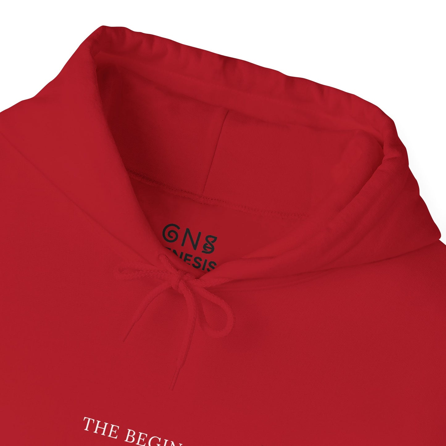 Hoodie - THE BEGIN - Unisex Heavy Blend™